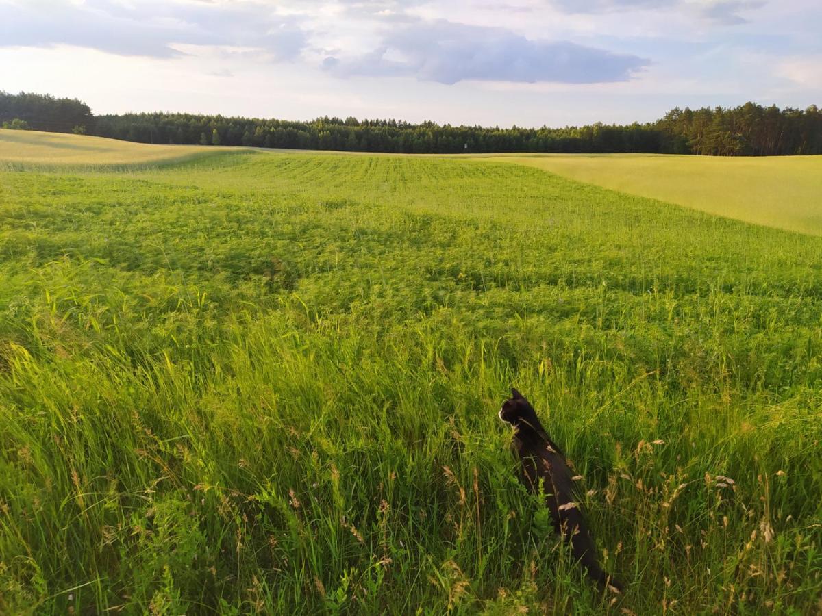 Appartamento Lesna Kryjowka Trzebciny Esterno foto