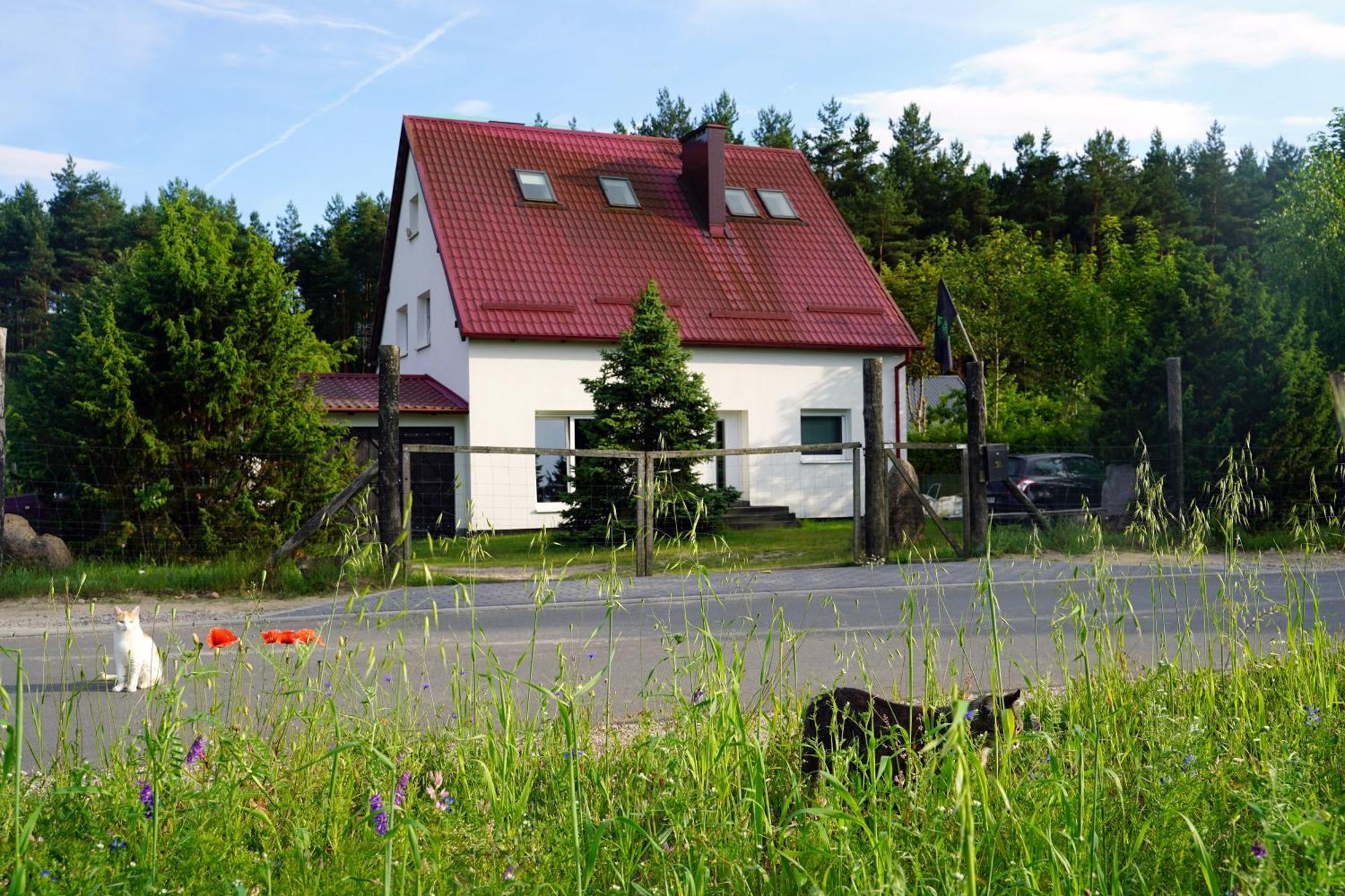Appartamento Lesna Kryjowka Trzebciny Esterno foto