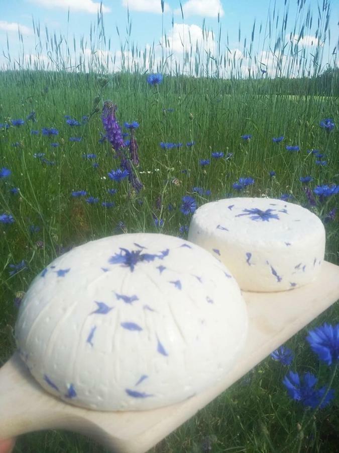 Appartamento Lesna Kryjowka Trzebciny Esterno foto